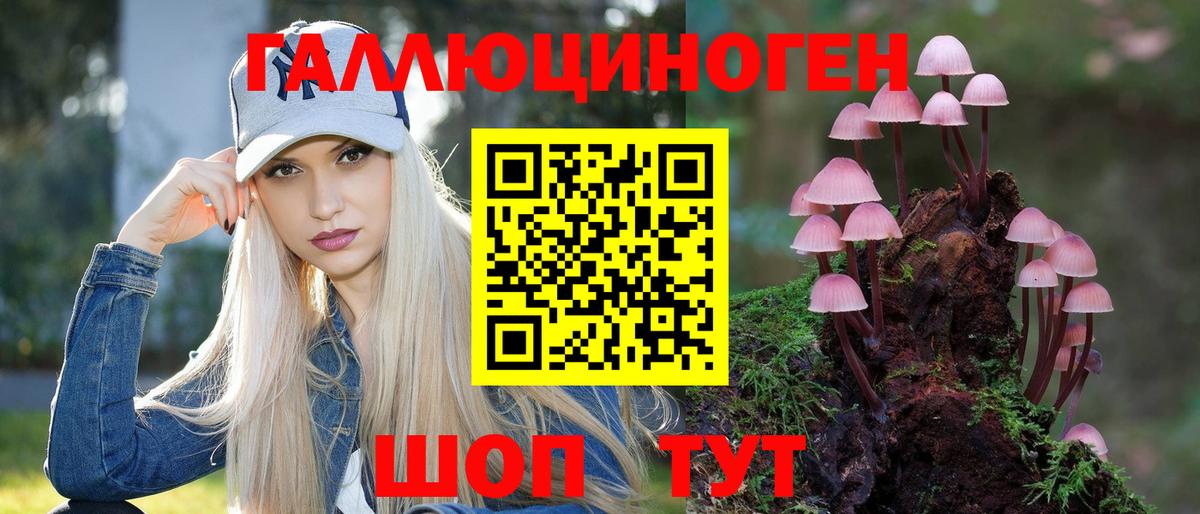 Псилоцибиновые грибы мицелий Кудрово