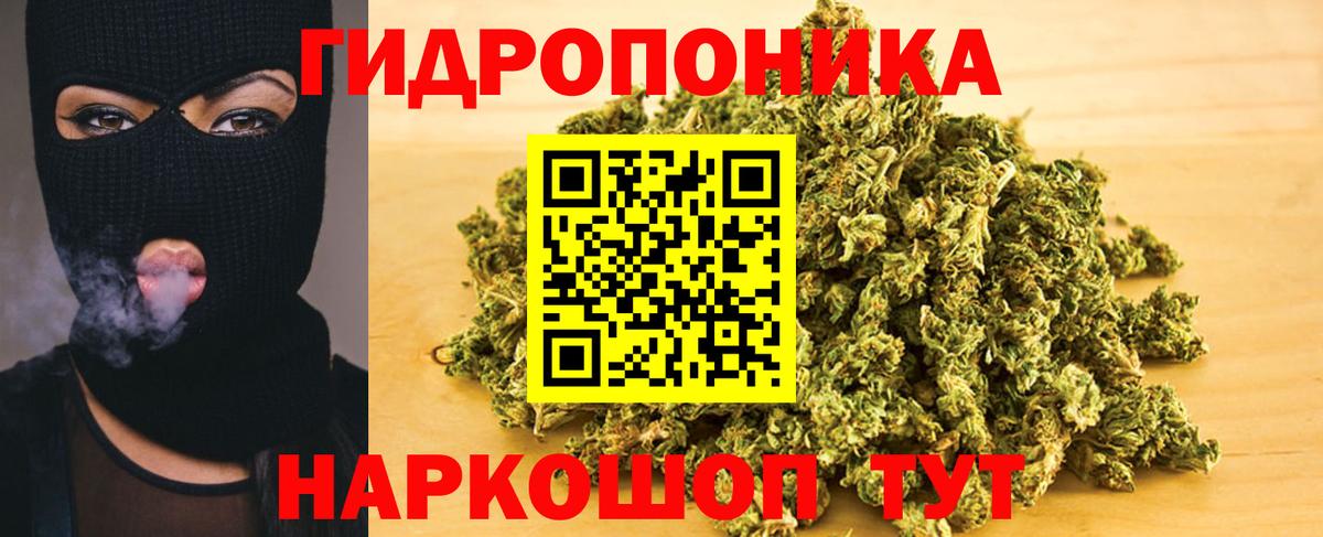 МАРИХУАНА семена Кудрово